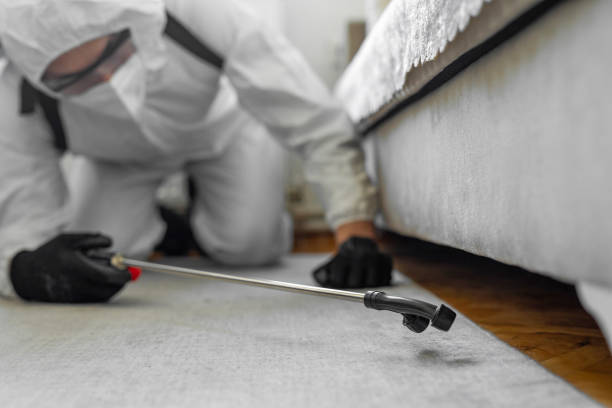Professional Cockroach Control technician working in Burlington, CO